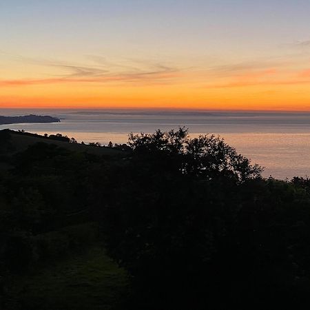 Cliff Lodge Torquay Ngoại thất bức ảnh
